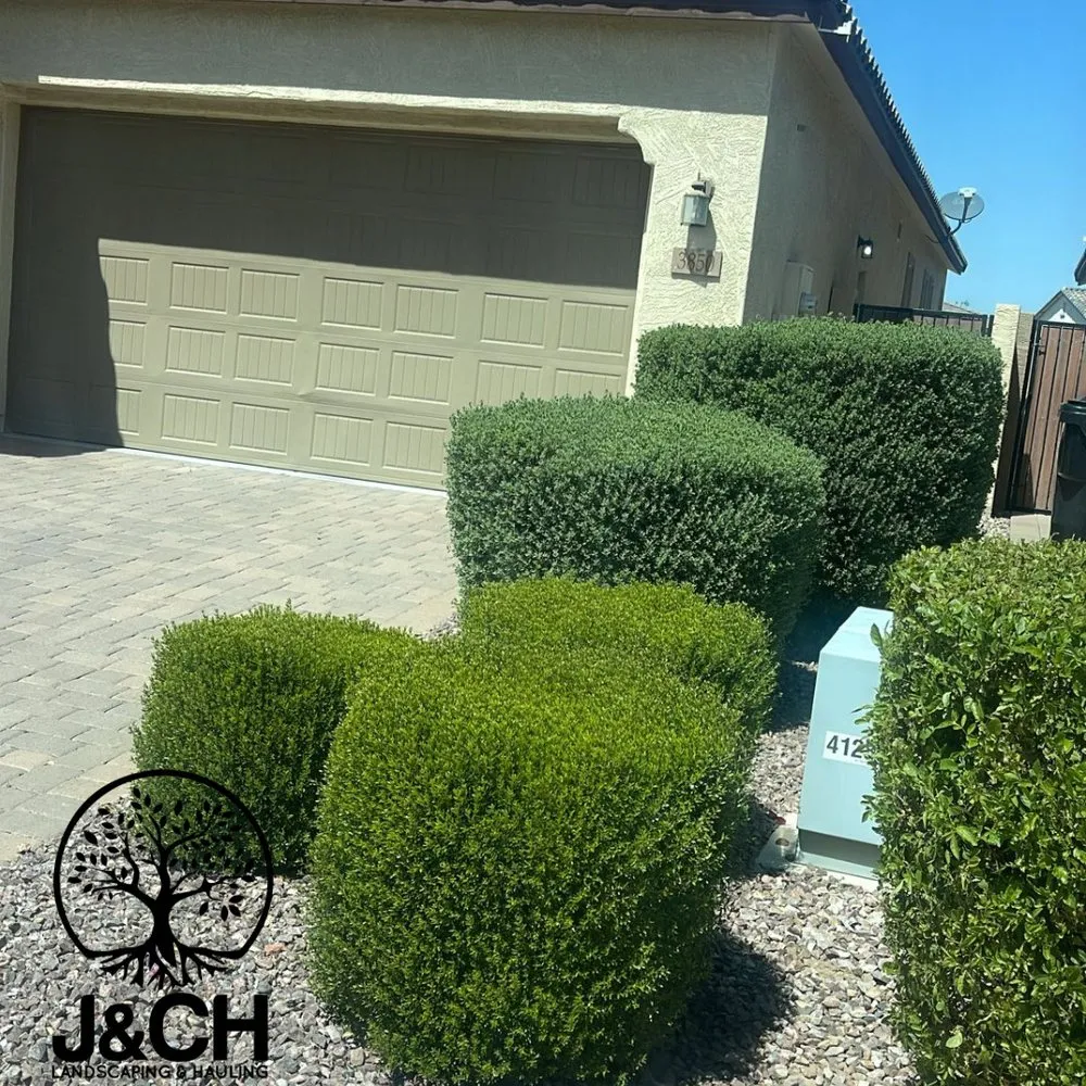 Professional landscaping services experts serving Phoenix, AZ - J&CH Landscaping & Hauling