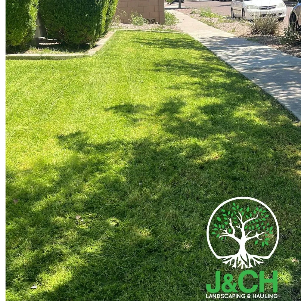 Trusted lawn care service with custom design across Phoenix, AZ - J&CH Landscaping & Hauling