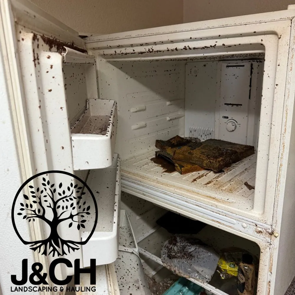 Professional residential landscaping in Phoenix, AZ by J&CH Landscaping & Hauling