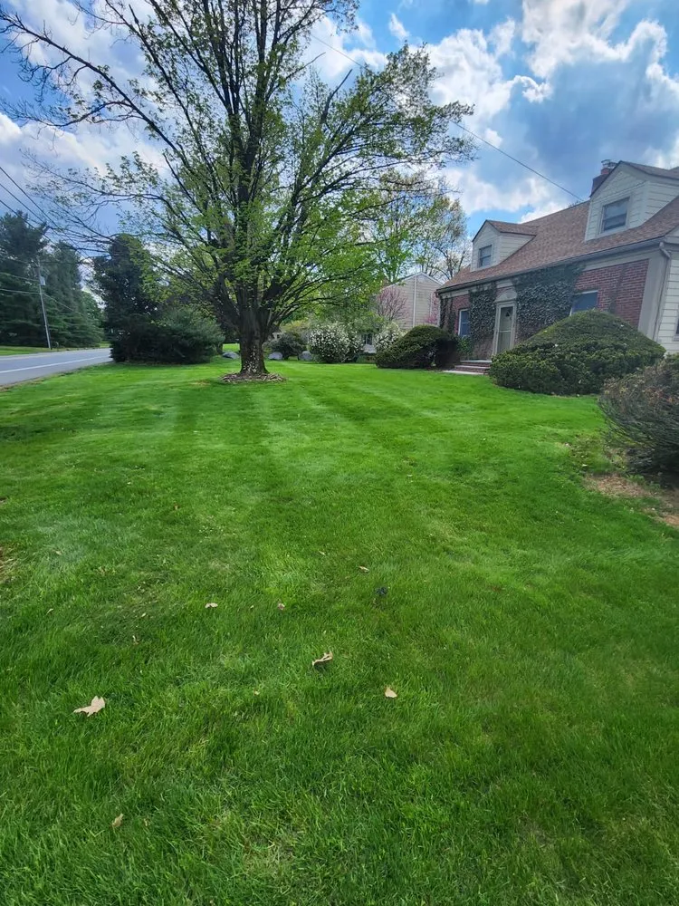 Professional residential landscaping in New Brunswick, NJ - JC&KM Lawn & Landscaping