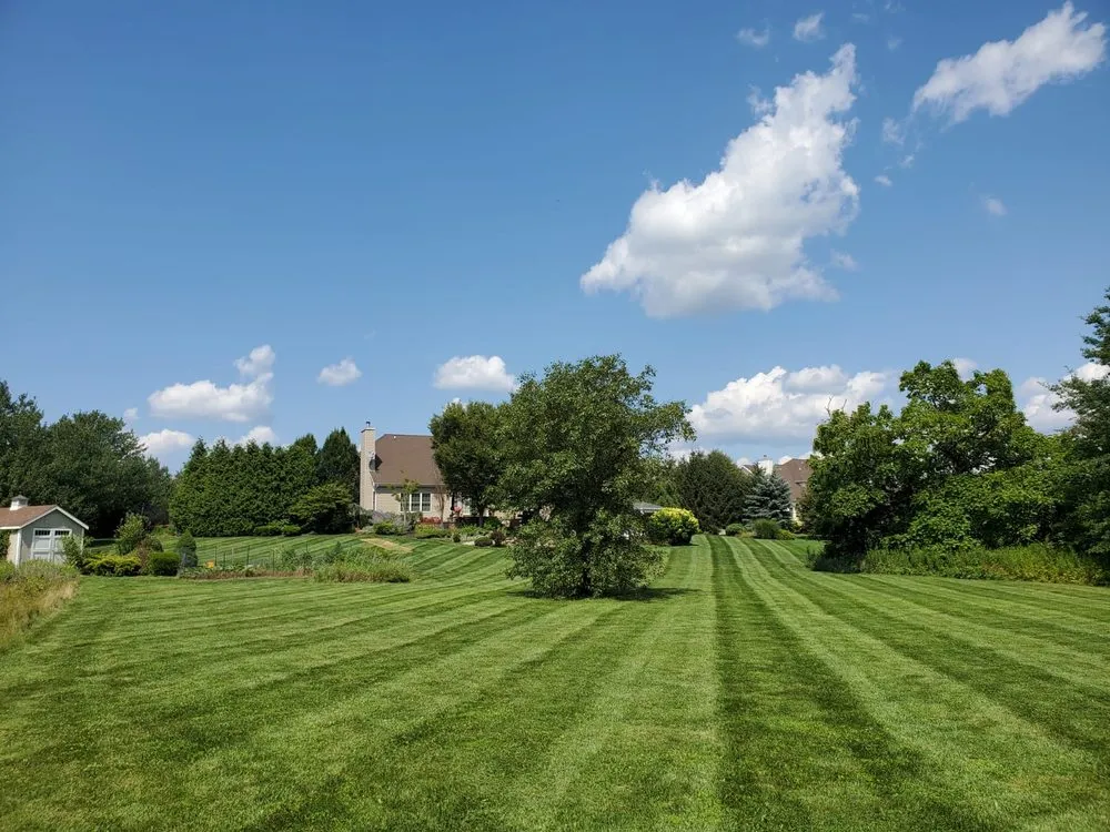 Expert yard cleanup service experts serving New Brunswick, NJ - JC&KM Lawn & Landscaping