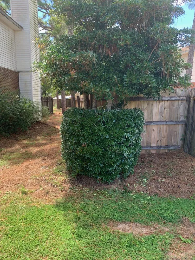 Expert garden landscaping experts serving Pensacola, FL - JCL Landscaping