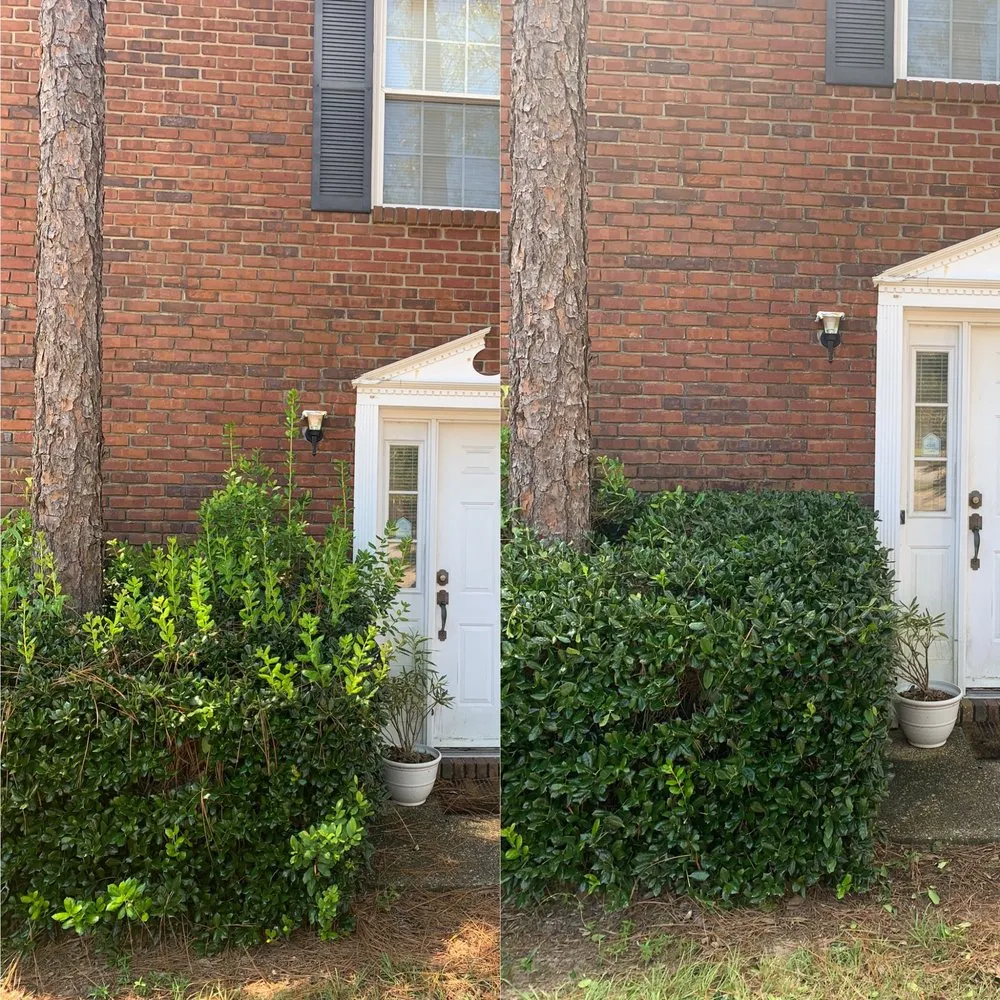 Local landscaping services for homes in Pensacola, FL by JCL Landscaping