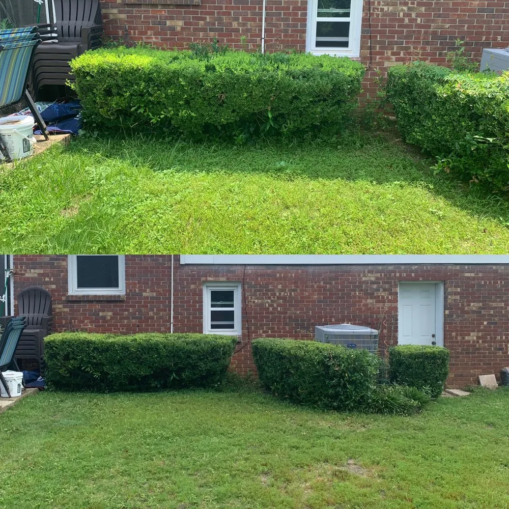 Top-rated landscape design in Pensacola, FL by JCL Landscaping