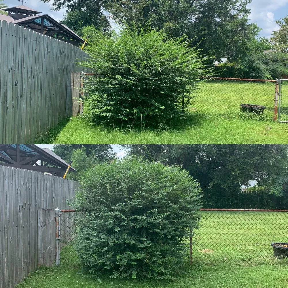 Professional landscaping services experts serving Pensacola, FL - JCL Landscaping