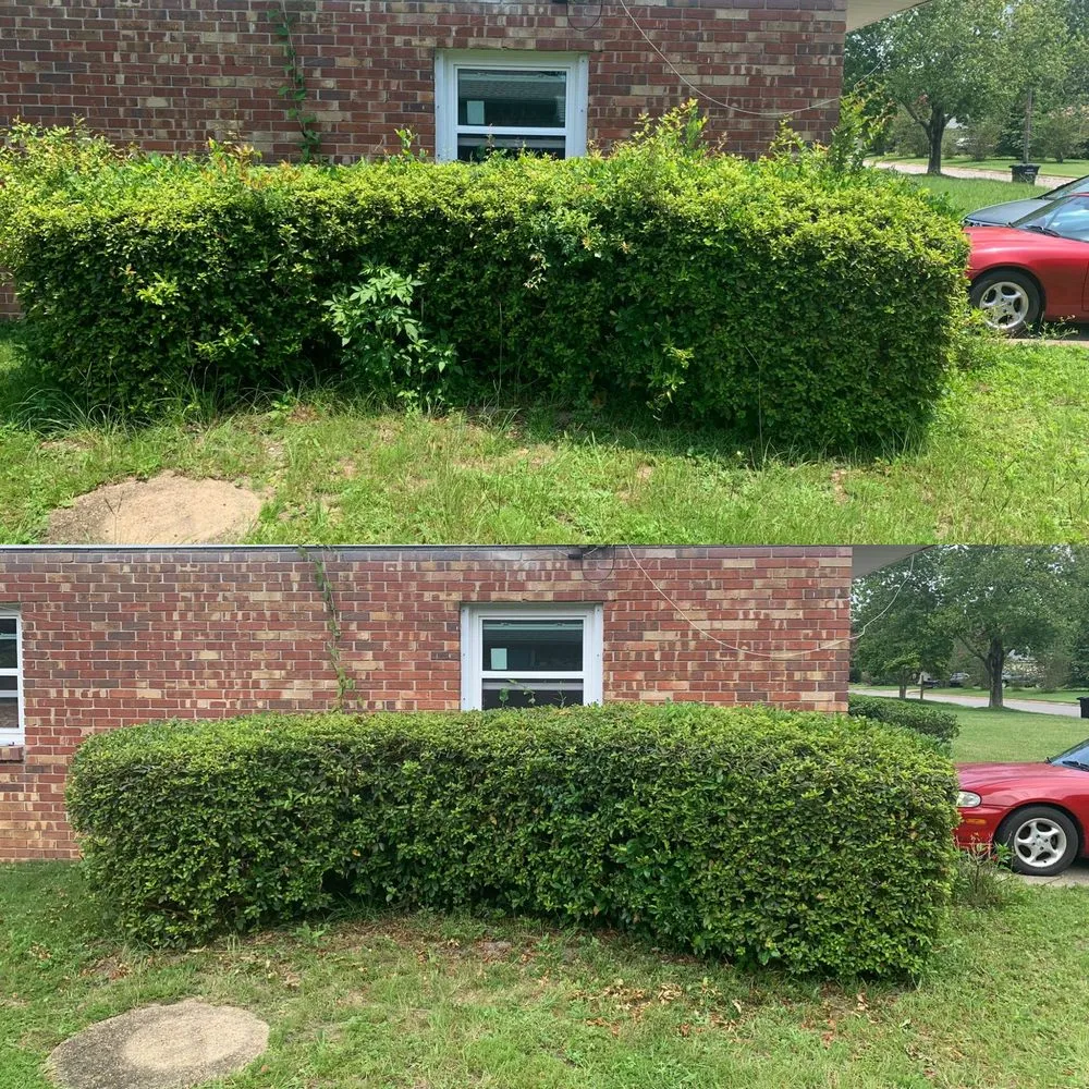 Trusted lawn mowing service for beautiful yards across Pensacola, FL - JCL Landscaping