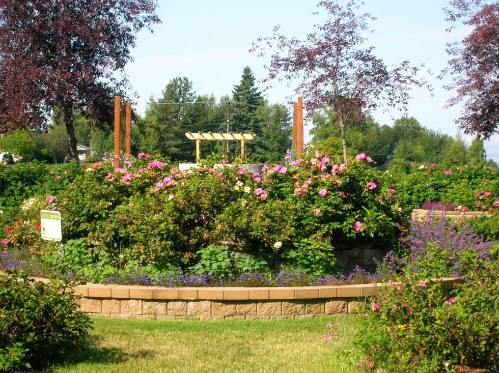 Affordable lawn care service in Monroe, GA by JCL Turfpro and Landscape