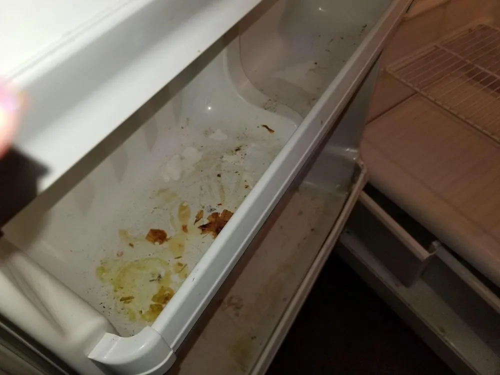 Reliable outdoor landscaping for residential properties in Lincoln, NE by JCM Home Services