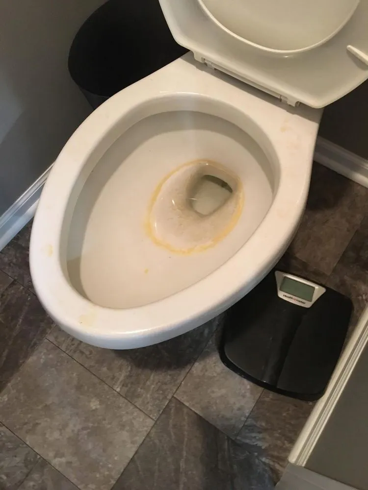 Professional garden landscaping for year-round maintenance in Lincoln, NE by JCM Home Services