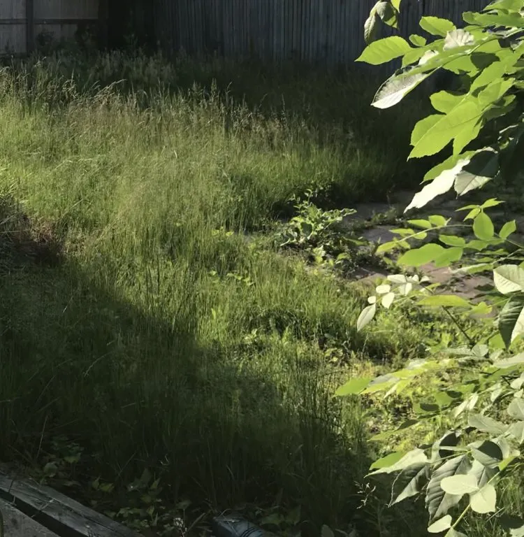 Custom lawn care service in Chicago, IL by JCO Lawn Care Service