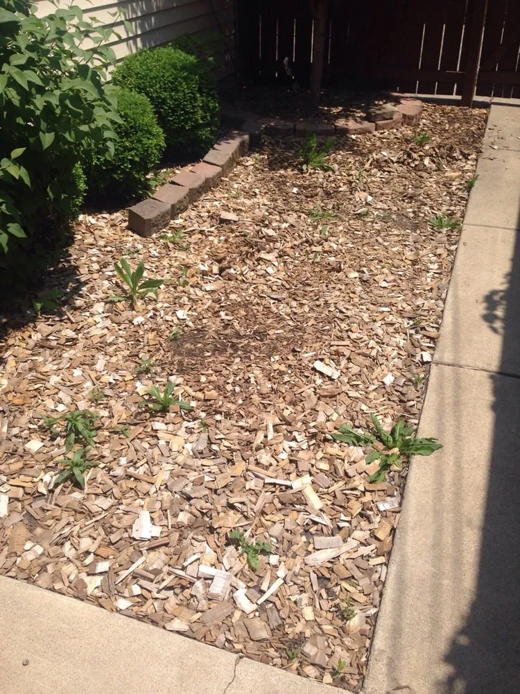 Local lawn mowing service for year-round maintenance across Chicago, IL - JCO Lawn Care Service