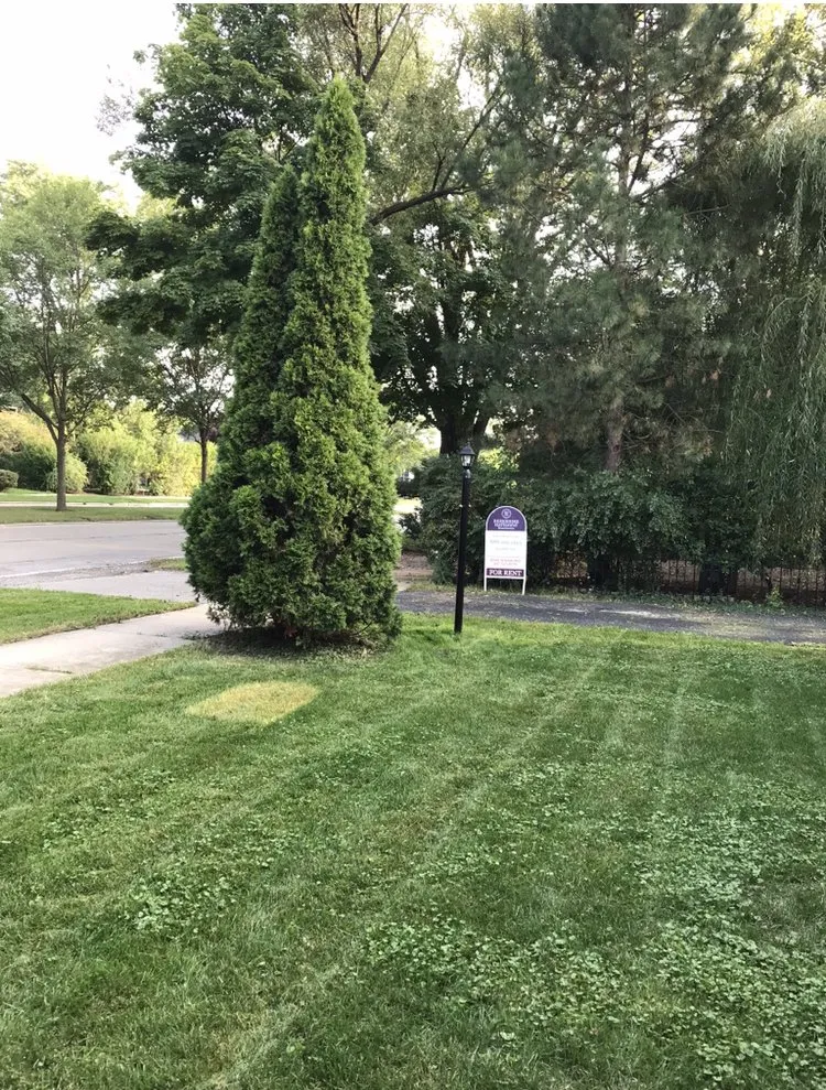 Reliable landscape installation with custom design across Chicago, IL - JCO Lawn Care Service