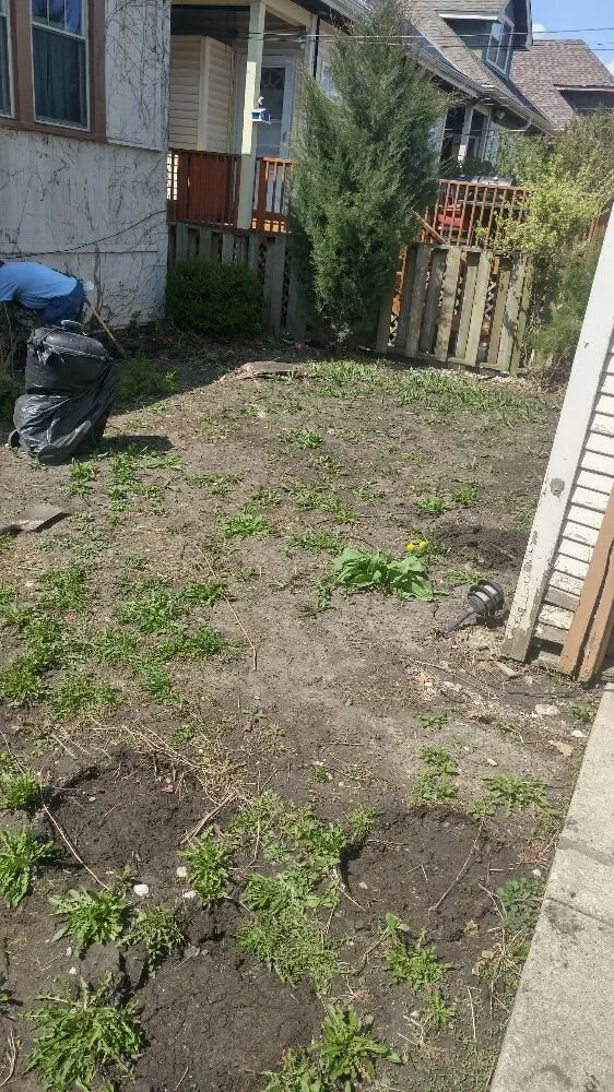 Top-rated lawn mowing service for outdoor upgrades in Chicago, IL by JCO Lawn Care Service