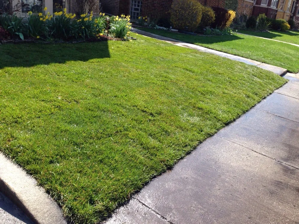 Trusted yard cleanup service for homes across Chicago, IL - JCO Lawn Care Service