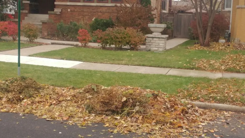 Reliable yard cleanup service near you in Chicago, IL by JCO Lawn Care Service