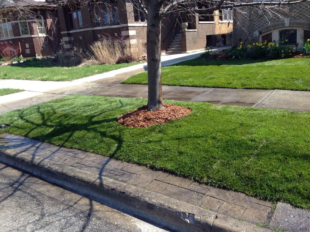 Professional lawn mowing service for residential properties in Chicago, IL by JCO Lawn Care Service