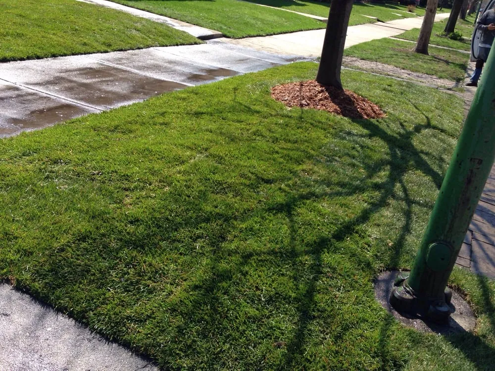Trusted outdoor landscaping in Chicago, IL - JCO Lawn Care Service