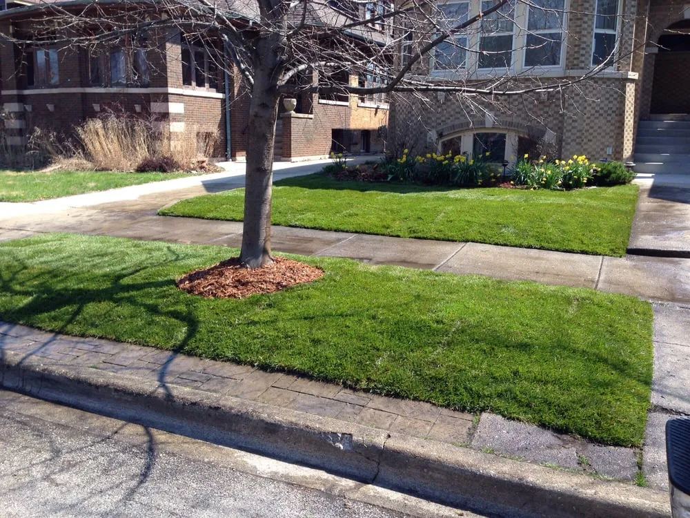 Expert yard cleanup service for year-round maintenance in Chicago, IL by JCO Lawn Care Service