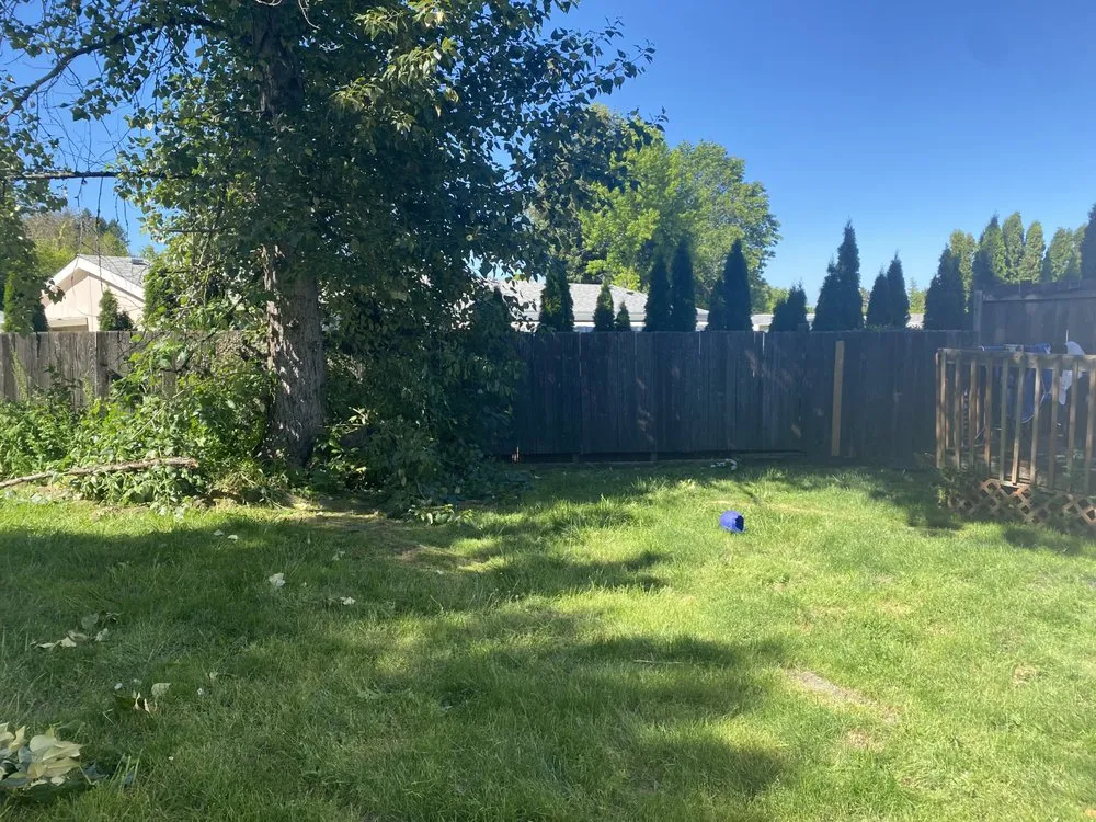 Local yard cleanup service in Corvallis, OR by Jcore Landscaping