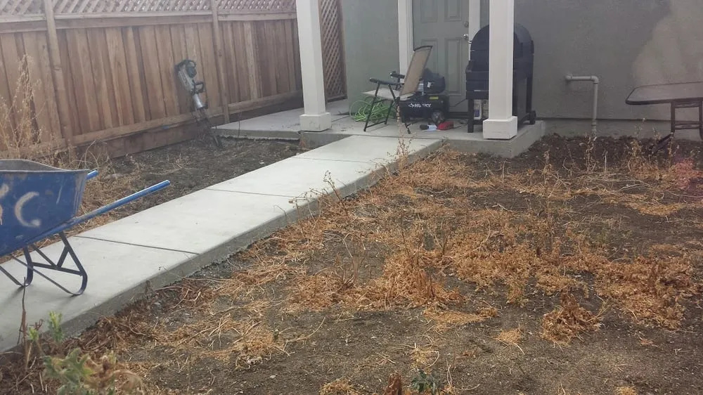 Professional garden landscaping for year-round maintenance in Mountain House, CA by JCP Landscaping