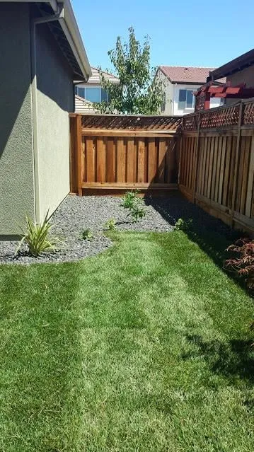 Trusted landscaping services for year-round maintenance in Mountain House, CA by JCP Landscaping