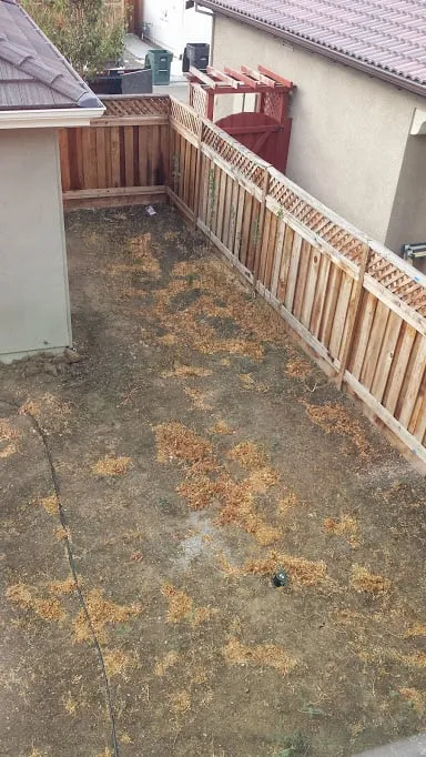 Local landscape design in Mountain House, CA by JCP Landscaping