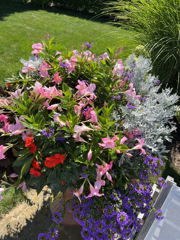 Reliable lawn care service in Mastic, NY by JCR Green Landscaping