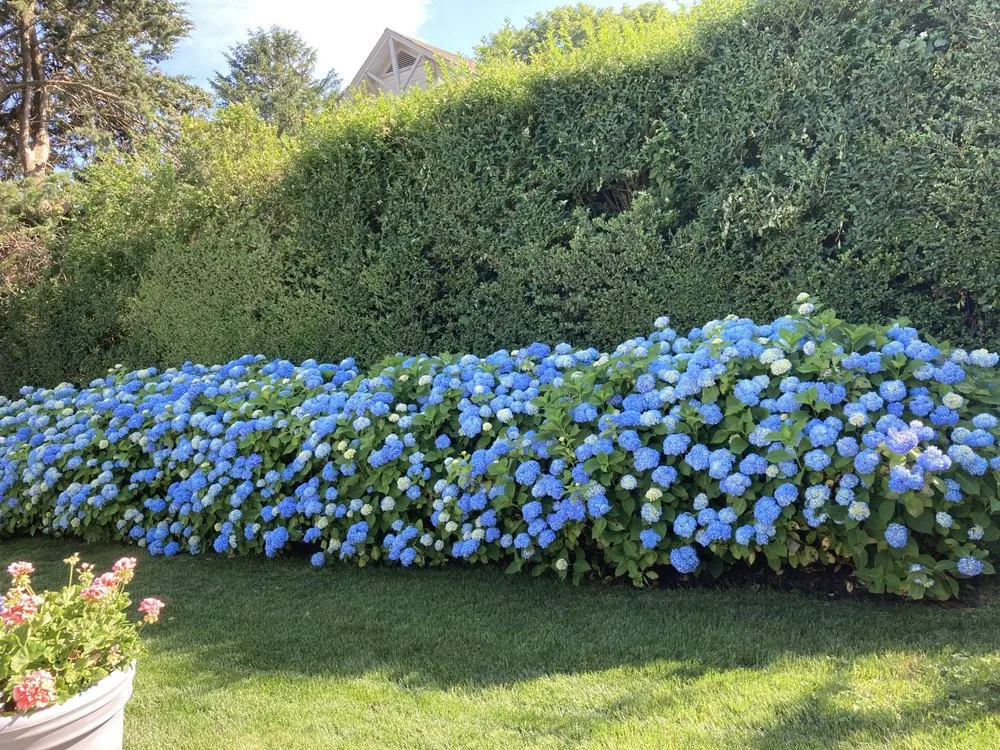 Professional lawn care service in Mastic, NY - JCR Green Landscaping