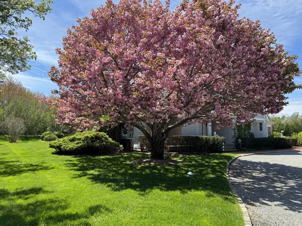 Top-rated lawn care service in Mastic, NY - JCR Green Landscaping
