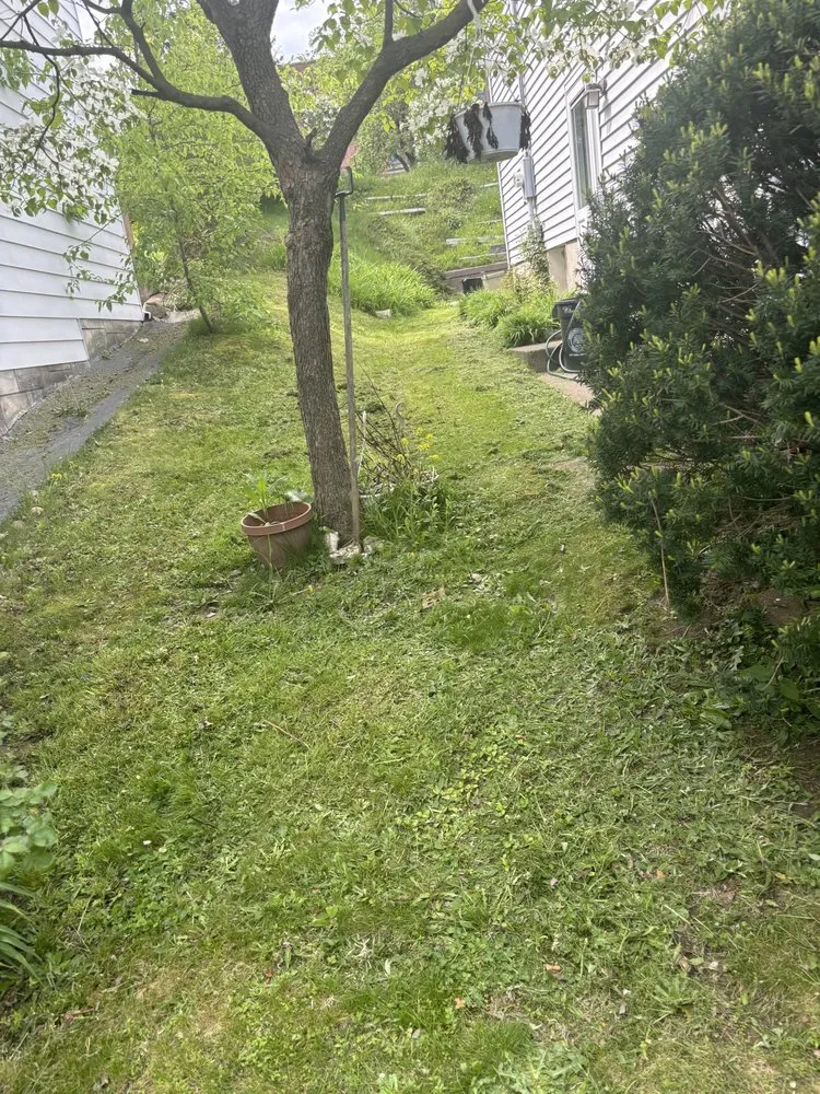 Affordable residential landscaping with custom design across Plymouth, PA - JC’S grass and lawn care