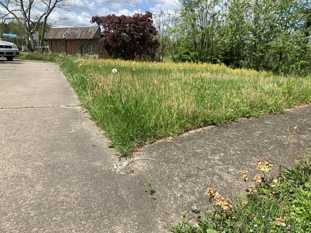 Local yard maintenance experts serving Plymouth, PA - JC’S grass and lawn care