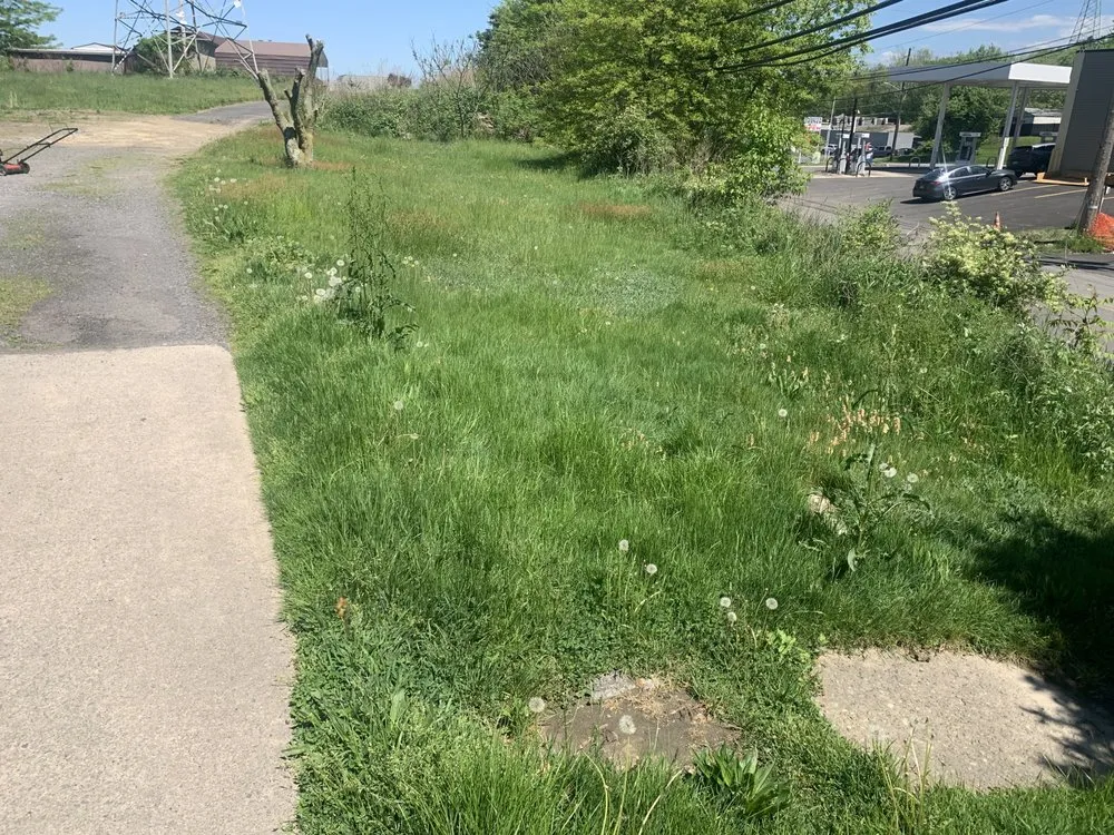 Professional landscaping services for year-round maintenance in Plymouth, PA by JC’S grass and lawn care