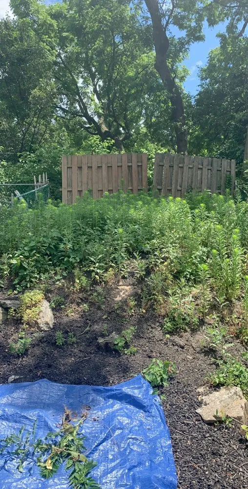 Reliable yard maintenance with custom design across Philadelphia, PA - JC’s Ground Service