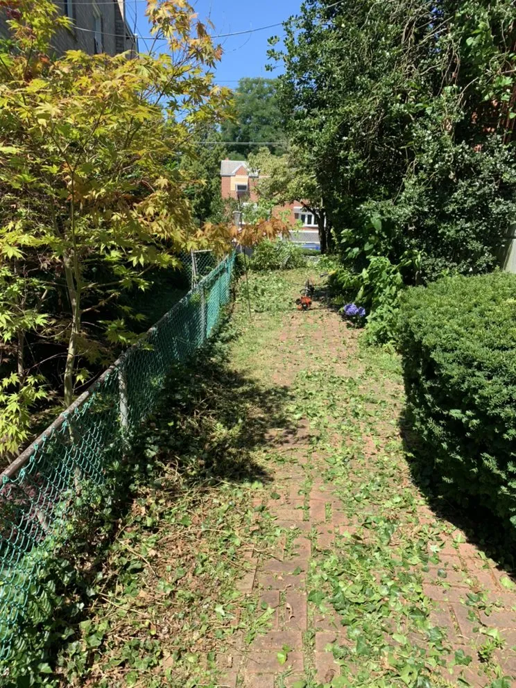 Expert residential landscaping in Philadelphia, PA by JC’s Ground Service