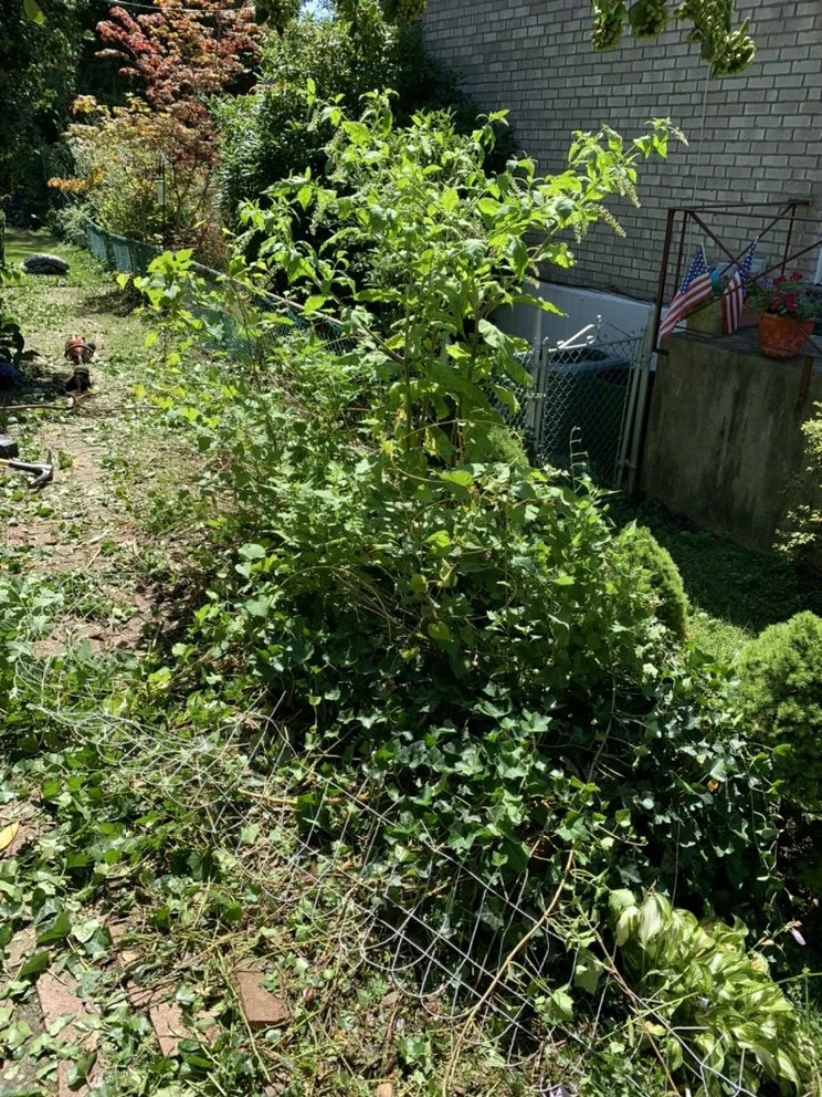 Reliable landscaping services in Philadelphia, PA by JC’s Ground Service