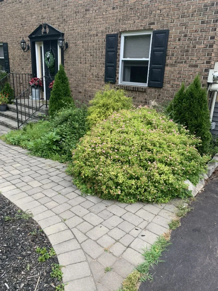Trusted yard maintenance in Philadelphia, PA by JC’s Ground Service