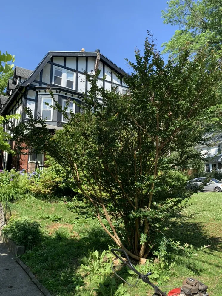 Reliable lawn mowing service in Philadelphia, PA - JC’s Ground Service