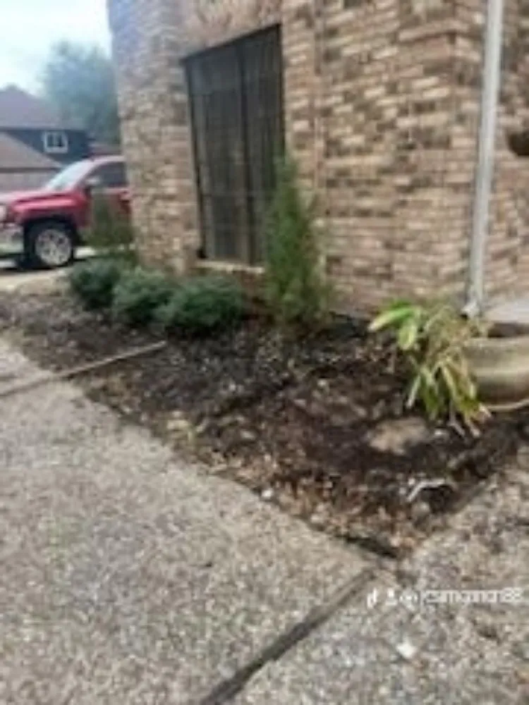 Custom landscape design in Houston, TX by Jc's Irrigation