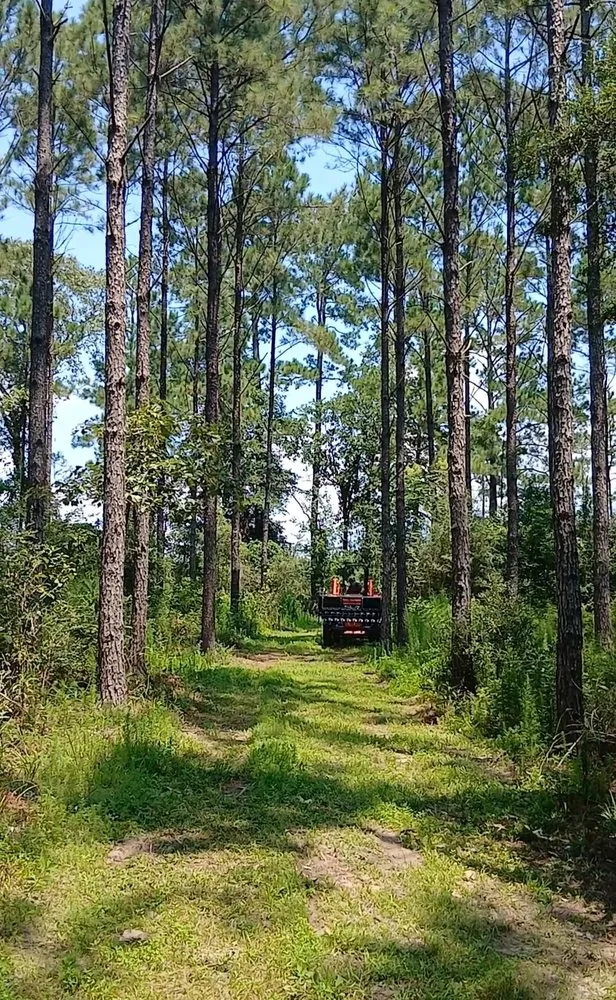 Local yard maintenance near you in Houston, TX by Jcs Land Clearing & More