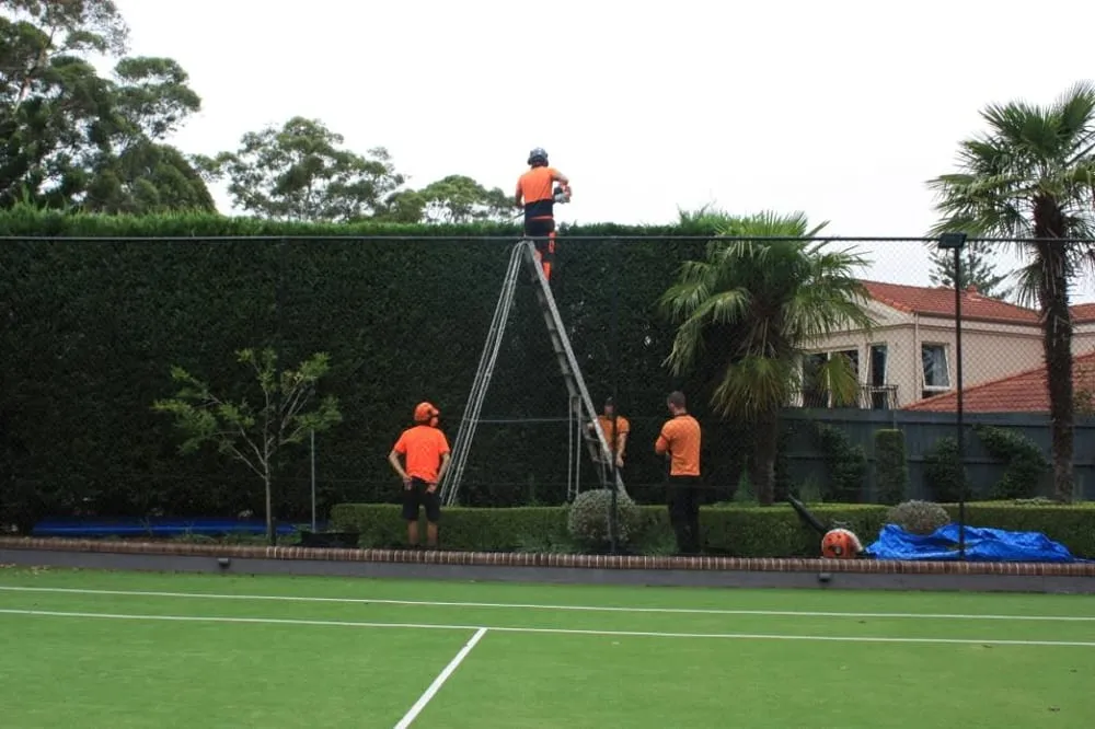 Professional yard cleanup service near you in Des Moines, WA by JCS Landscape