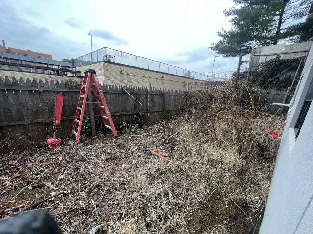 Custom yard cleanup service experts serving New York, NY - JCS Landscaping & Construction