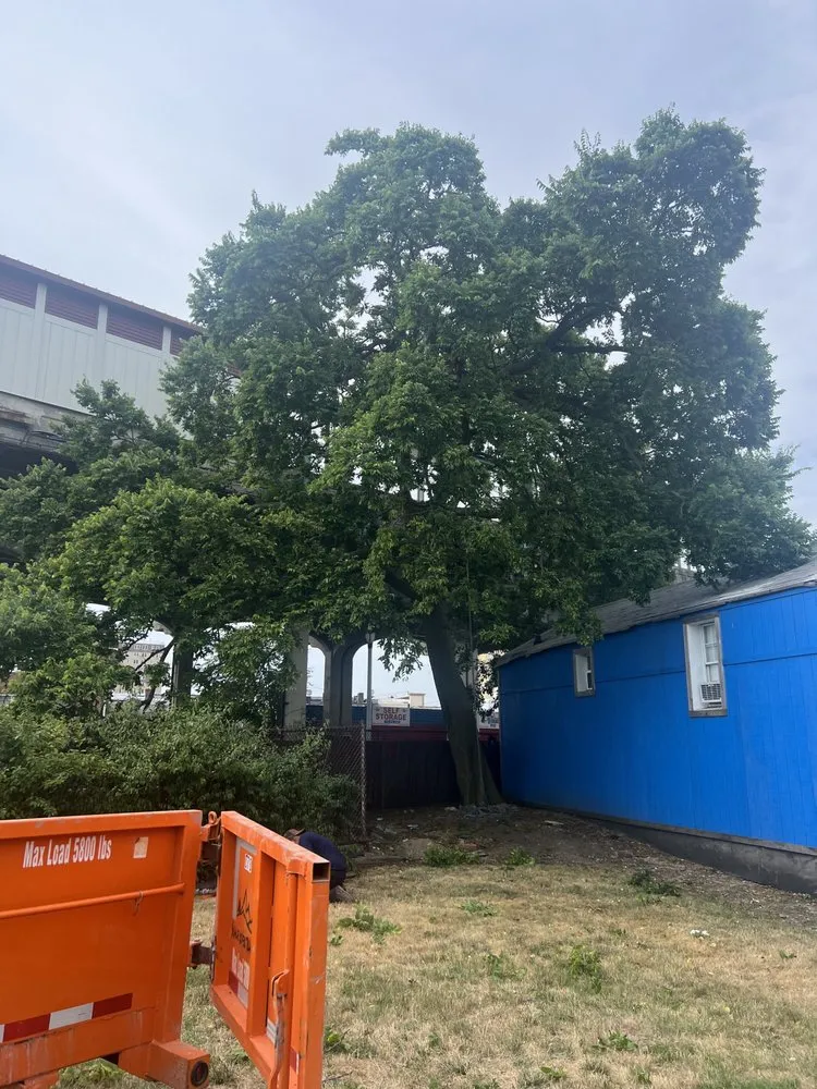 Custom landscape installation for year-round maintenance in New York, NY by JCS Landscaping & Construction