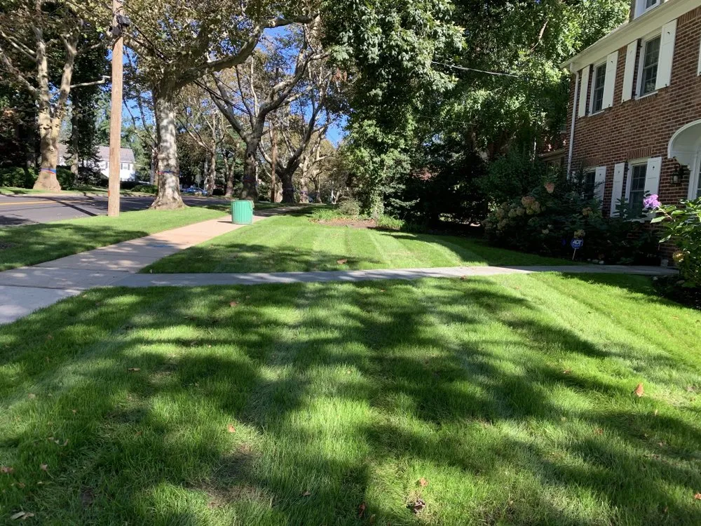 Professional yard maintenance in New York, NY - JCS Landscaping & Construction