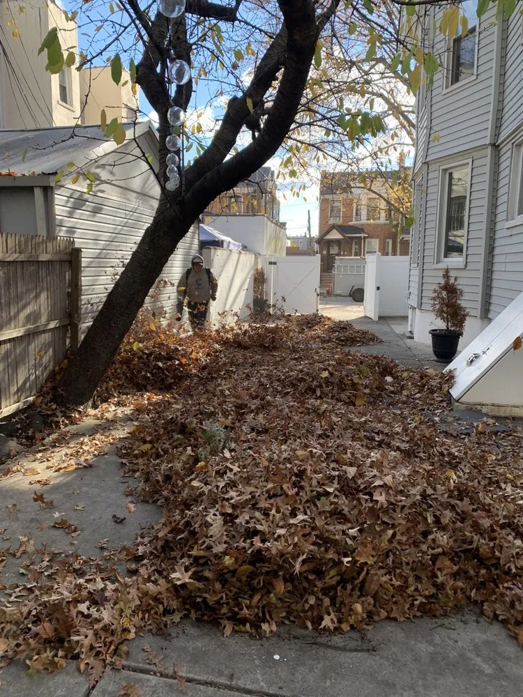 Local landscaping services near you in New York, NY by JCS Landscaping & Construction