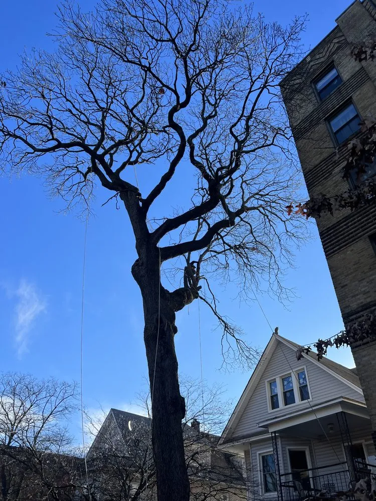 Expert lawn mowing service for beautiful yards across New York, NY - JCS Landscaping & Construction