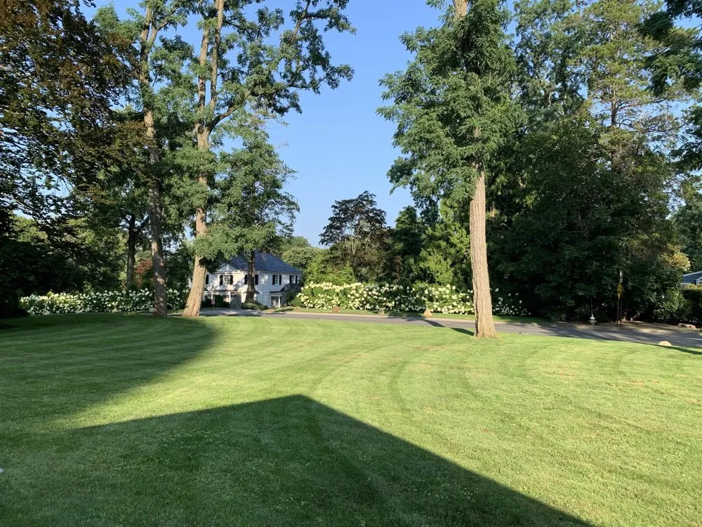 Reliable yard cleanup service in New York, NY by JCS Landscaping & Construction