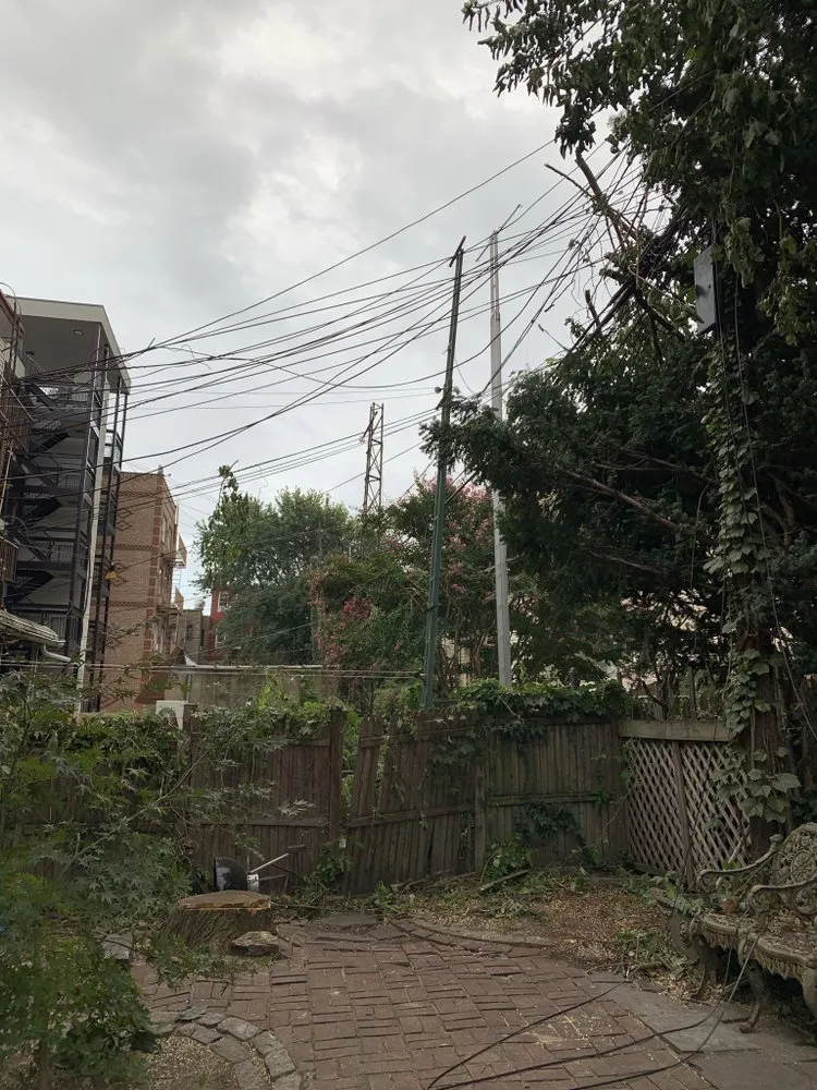 Top-rated yard maintenance in New York, NY - JCS Landscaping & Construction