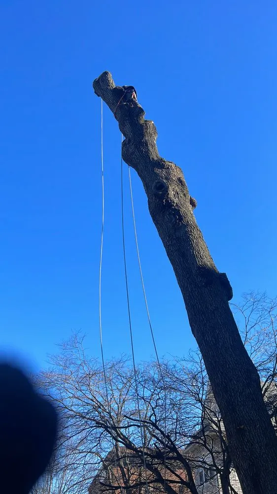 Expert landscape design in New York, NY by JCS Landscaping & Construction