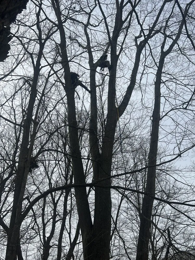 Trusted lawn mowing service in New York, NY - JCS Landscaping & Construction