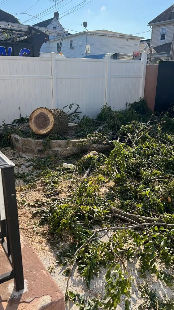 Trusted yard maintenance experts serving New York, NY - JCS Landscaping & Construction